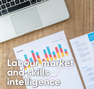 Labour market and skills intelligence