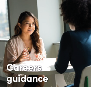 Career guidance, development and transitions