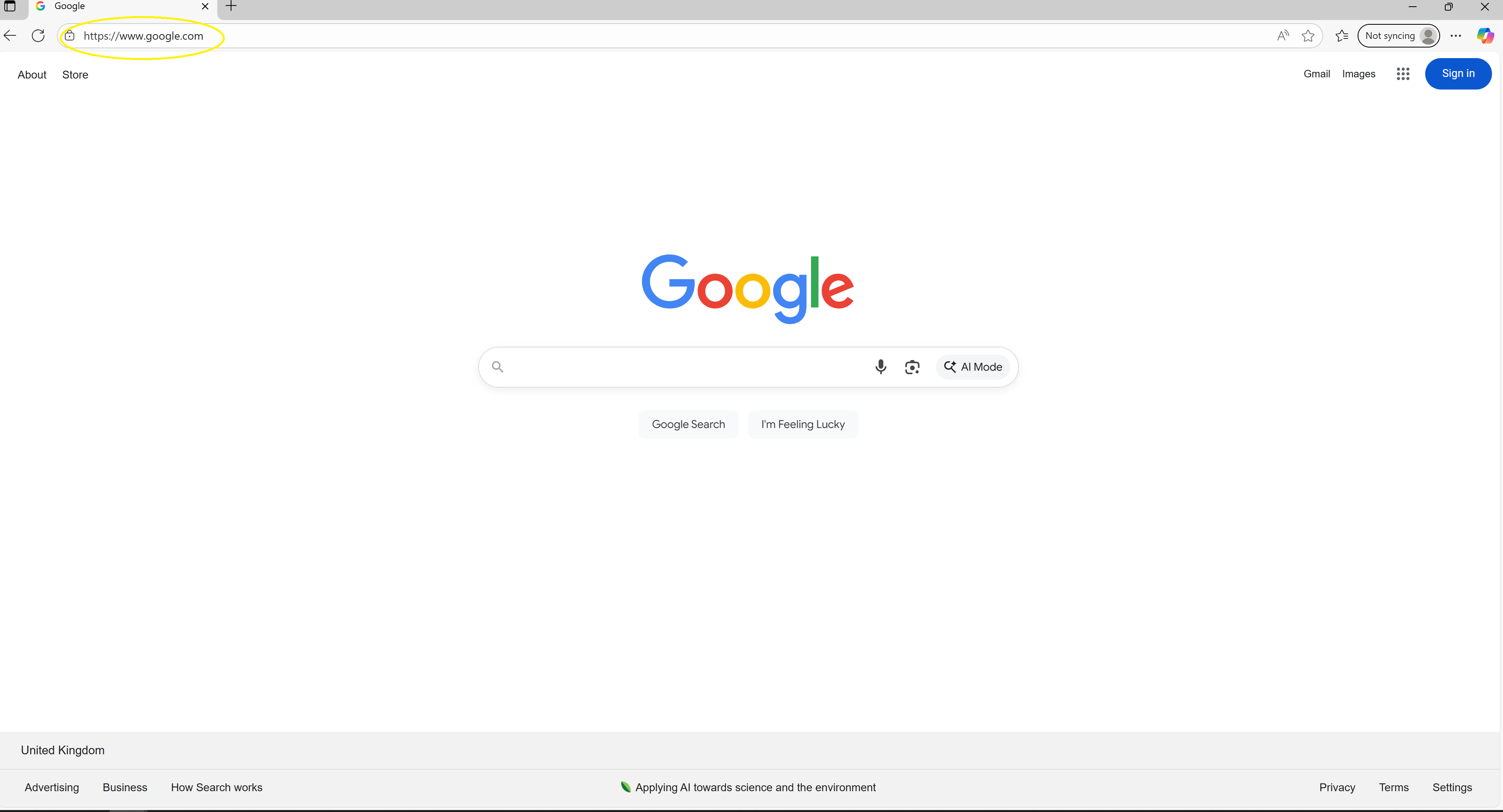 Accessing Google from browser
