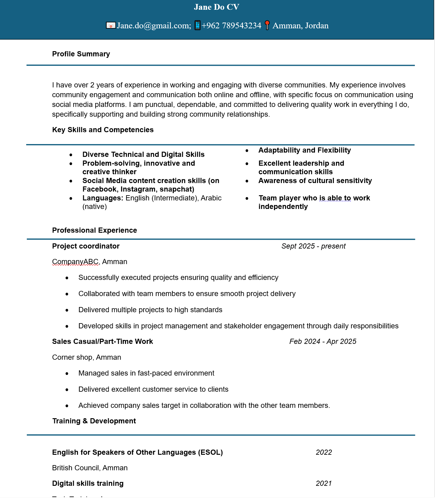 Example of what a CV could look like