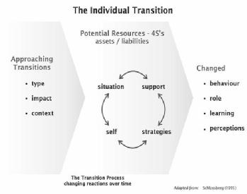 individual transition cycle