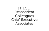 IT USE Respondent Colleagues Chief Executive Associates