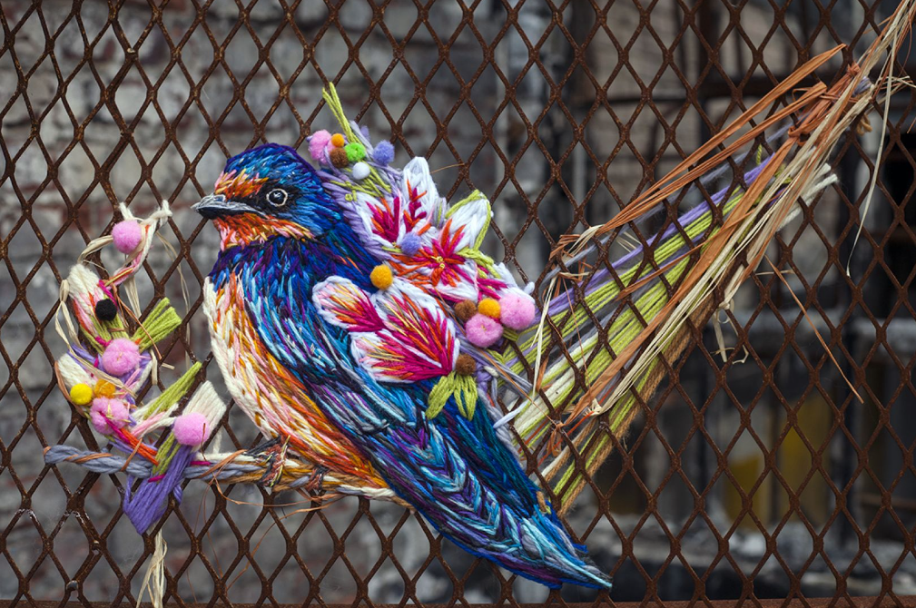 Colourful bird