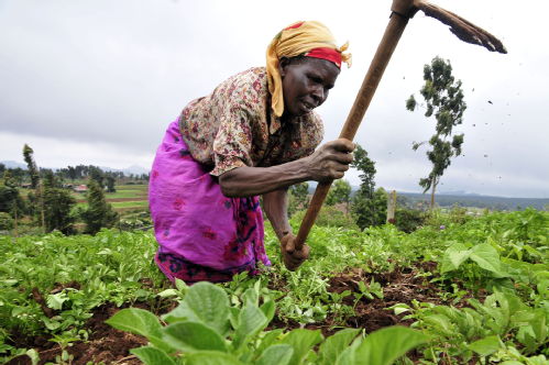 Image of Kenyan woman