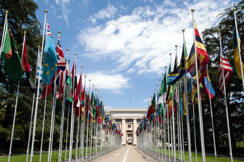 UN Flags