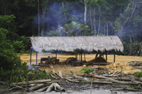 Logging