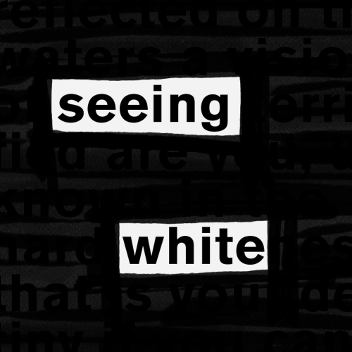 Seeing White image