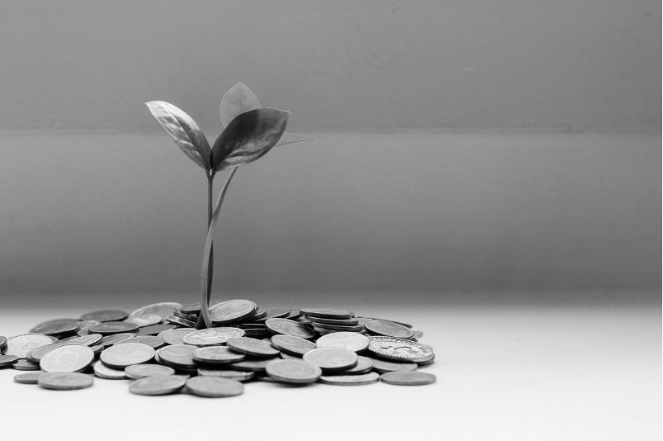 Plant growing out of money to represent economic growth