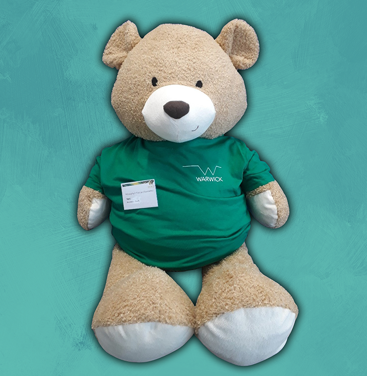 Teddy bear in a green dept t-shirt
