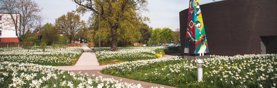 Campus