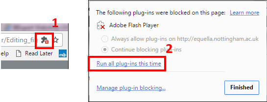 During the Adobe Flash check select the options to run all plugins