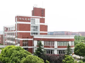 SJTU 8