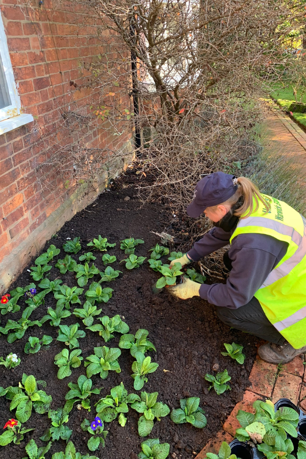 Image of Emily at work laying a flowerbed