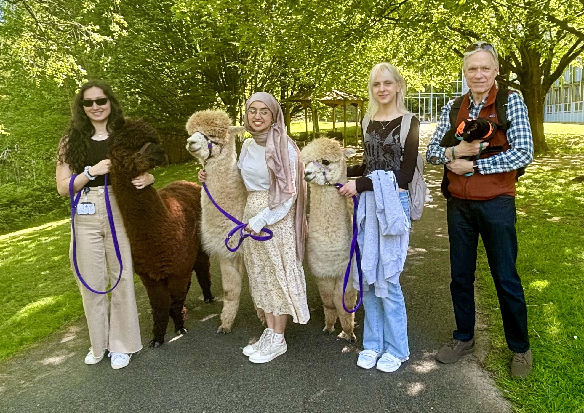 Images of alpacas and Rolf the campus cat