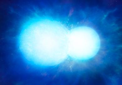 Artist’s impression of two white dwarfs in the process of merging. Depending on the combined mass, the system may explode in a thermonuclear supernova, or coalesce into a single heavy white dwarf, as with WDJ0551+4135. This image is free for use if used in direct connection with this story but image copyright and credit must be University of Warwick/Mark Garlick