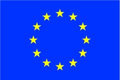 EU Flag