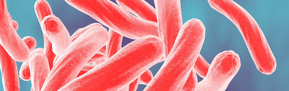 TB bacteria