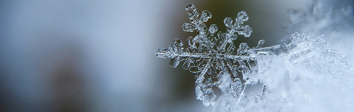 natural snowflake