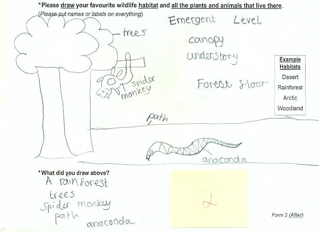 Scientific learning example - desert habitat