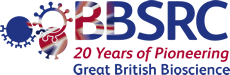 anniversary logo