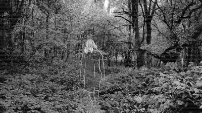 Coventry Made Me - artwork