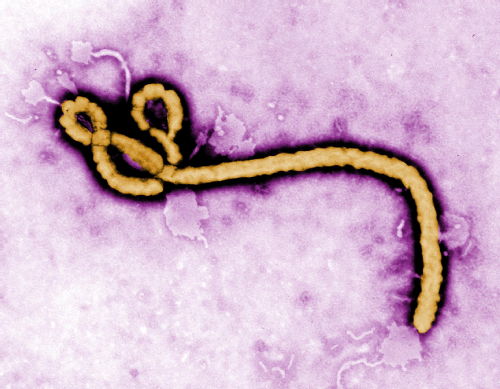 ebola2