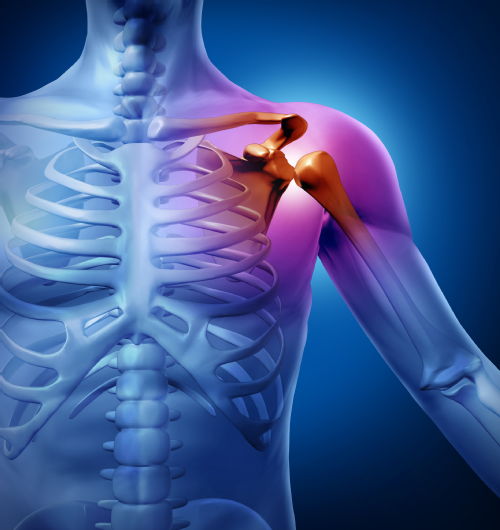 shoulder