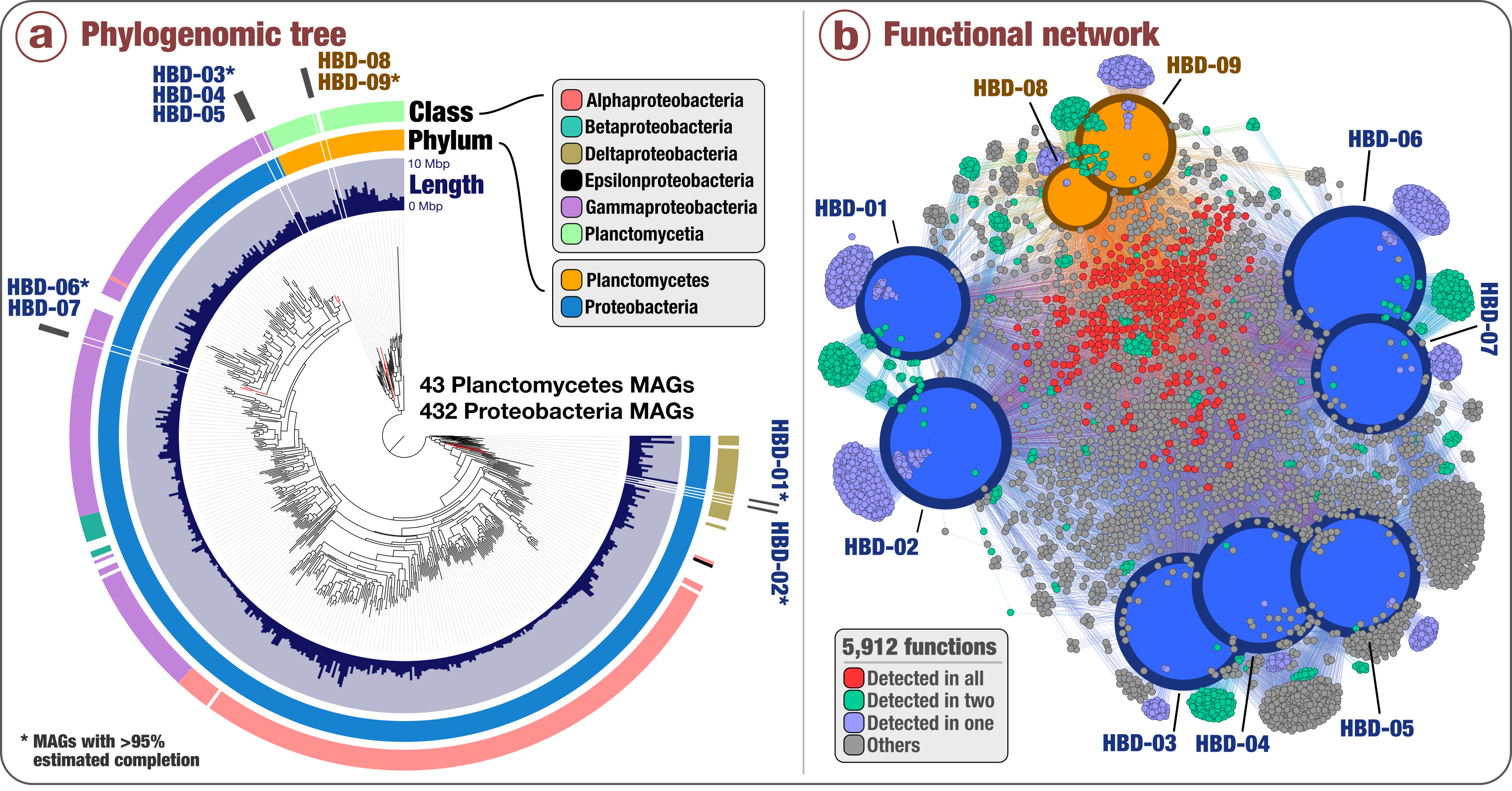 Large-Scale Study Indicates Novel and Abundant Nitrogen-Fixing Microbes in the Surface Ocean
