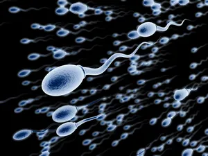 istock_000007006527small.jpg