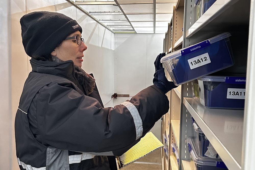 Dr Charlotte Allender, head of UKVGB, in the seed vault