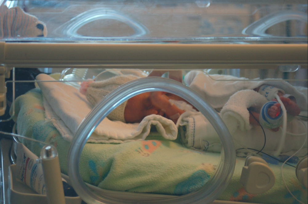 premature baby in incubator