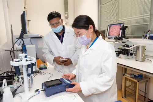 Scientists working in the lab