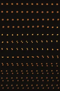 Cell dividing (DNA/chromosomes not whole cell)
