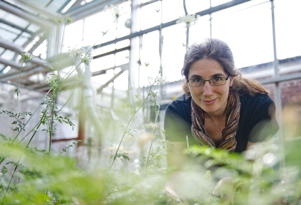 Charlotte headshot over plants in greenhouse
