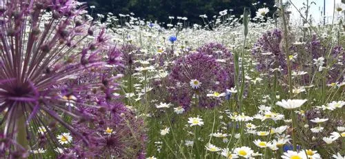 warwick uni close up pic 1 by Chris Headon