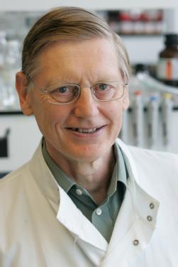 Stephen Bloom