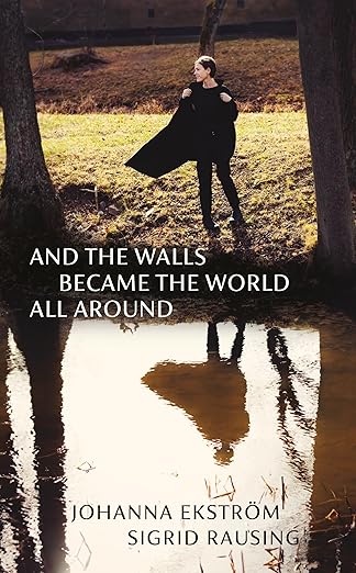 Book cover of 'And the walls became the world all around' 
