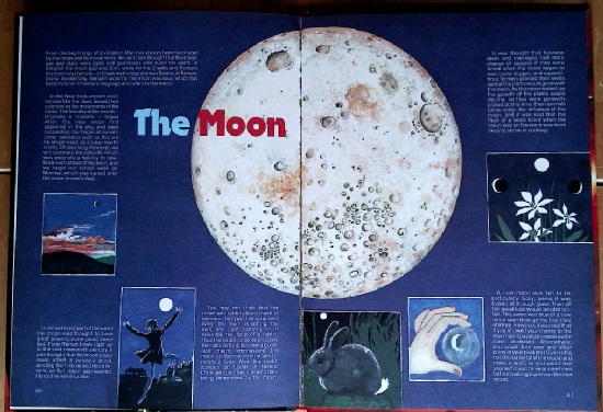 The moon feature 