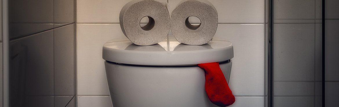 Toilet roll face