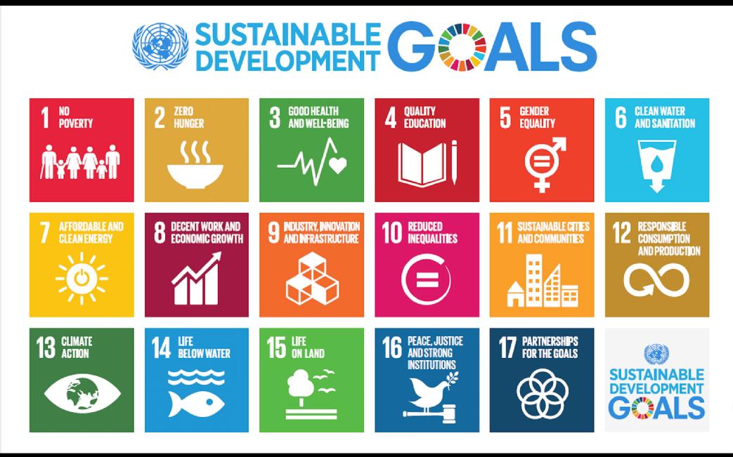 sustainable_development_goals.jpg