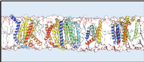 Graphic of a membrane protein