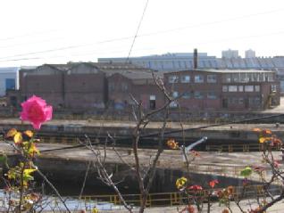 A&P abandoned shipyard, Gateshead