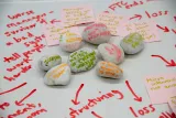 ircc-2026-highlights-37.webp