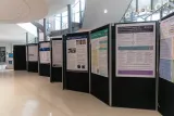 ircc26-highlights-79.webp