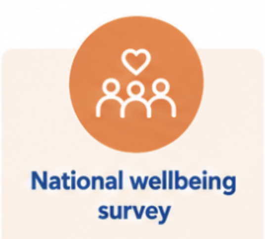 Wellbeing survey icon
