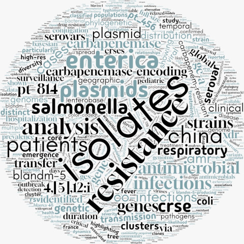 Carbapenem resistance publication word cloud.