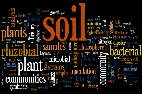Rhizobia Wordle