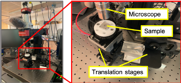 2D heterostructures fabrication station