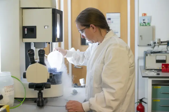 Bioimaging