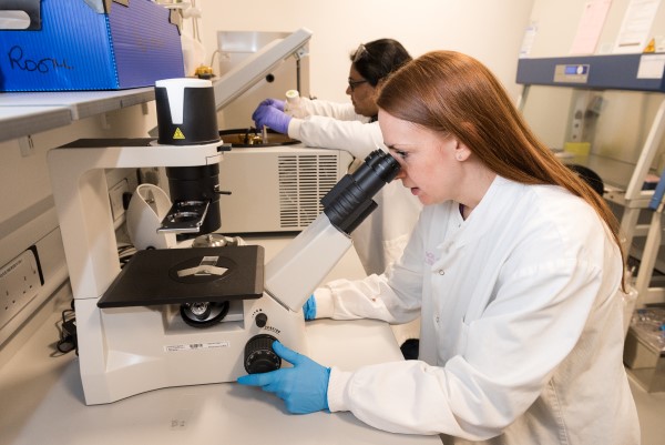 Two health researchers in a laboratory